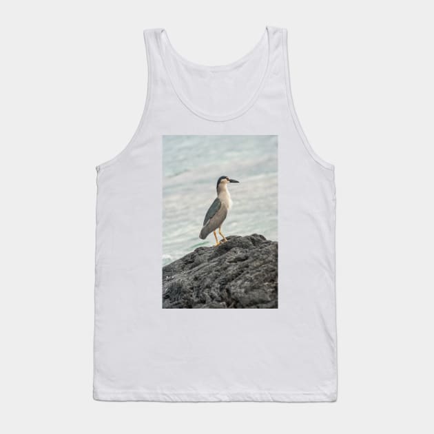 Black-crowned night heron of hawaii 5 Tank Top by KensLensDesigns